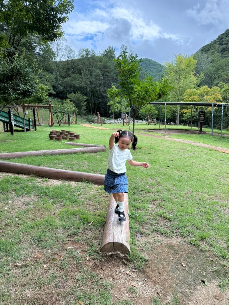 대구 수성 대흥동 유아숲체험원 생태하천이 흐르는 숲놀이터