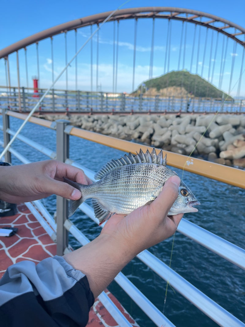 변산반도 생태탐방원 예약방법과 4인실 요금, 아이 둘 데리고 다녀온 후기