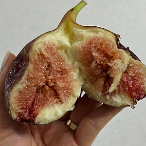 내돈내산 톡딜 대한민국일첩반상 전남 영암 무화과 1kg 후기  무화과내돈내산 무화과택배