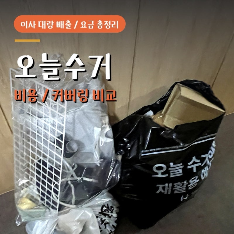 오늘수거 비용 커버링 비교 이사 대량 배출 요금 후기