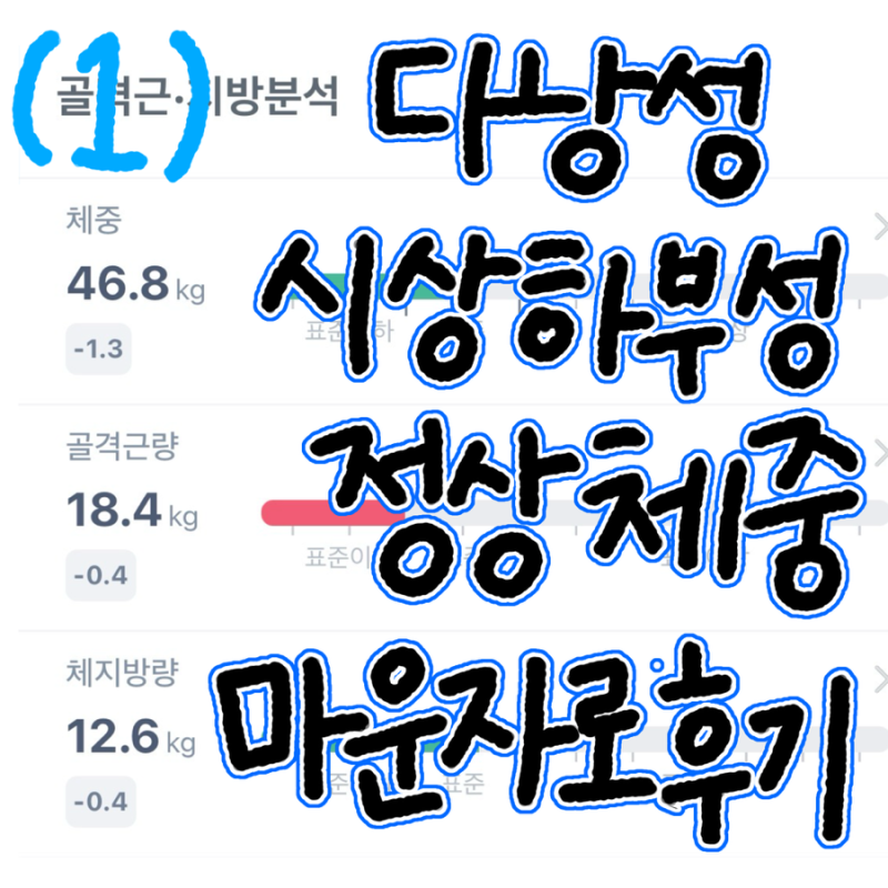 시상하부성 무월경 다낭성 환자의 정상체중 마운자로 2.5mg 후기(1)