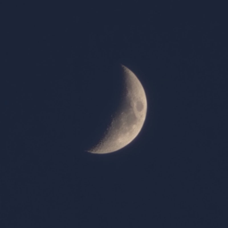 달이 떴다고 전화를 주시다니요