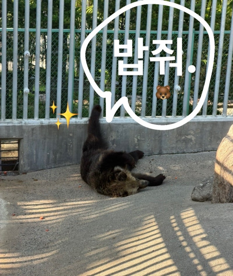 세종 베어트리파크 나들이 추천 | 베어트리파크 식당 후기