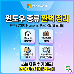 윈도우 11 구매 가이드: Home·Pro 차이와 FPP, ESD, DSP, DPK 종류 완벽 정리