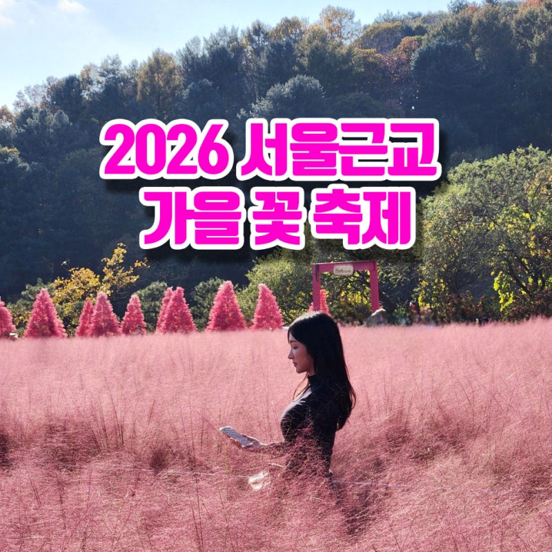 서울근교 가볼만한곳 가을꽃축제 모음집
