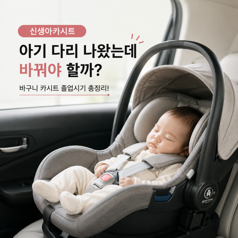 신생아 카시트 언제까지? 바구니 카시트 졸업시기
