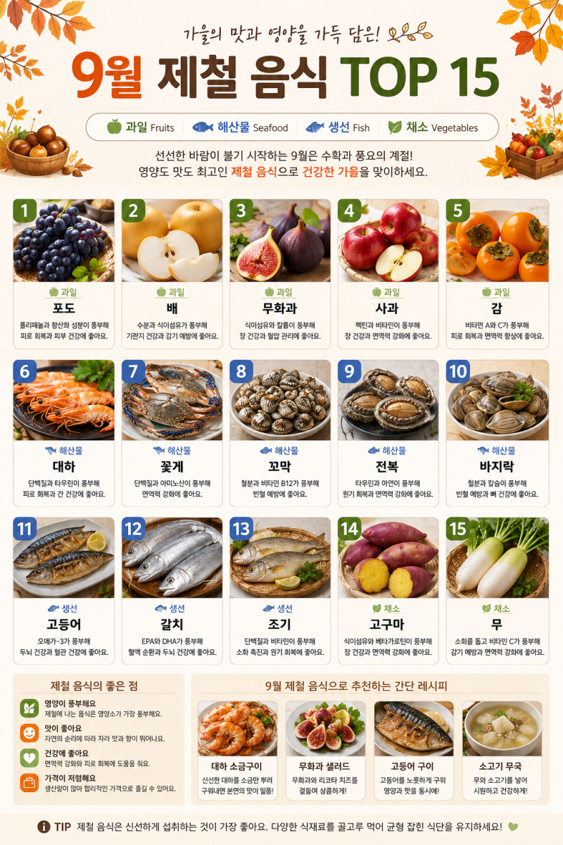 9월 제철 음식 TOP 15｜과일·해산물·생선·채소 가을 먹거리 총정리