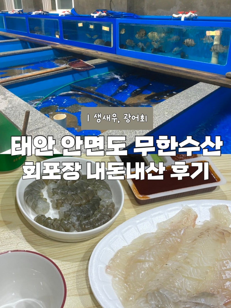 [태안 무한수산] 태안 안면도 회포장 가격정보 내돈내산 후기(광어회•생새우)