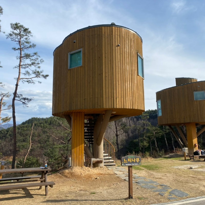 무주 자연휴양림 숙소｜향로산 자연휴양림 숲속나무집 2박3일 후기