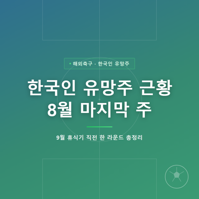 한국 유망주,하부리그 근황, 해외파 활약 정리(8월 마지막 주)