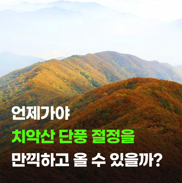 가을 단풍 명소 치악산 단풍 시기 올해는 언제 가는 게 좋을까?