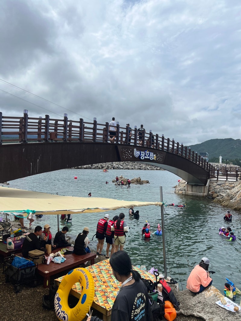 삼척 장호항 스노클링 후기｜평상 대여부터 준비물까지 아이와 물놀이