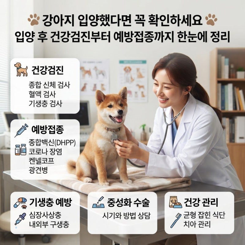 강아지 입양 후 꼭 해야 할 건강검진과 예방접종, 이것부터 확인하세요