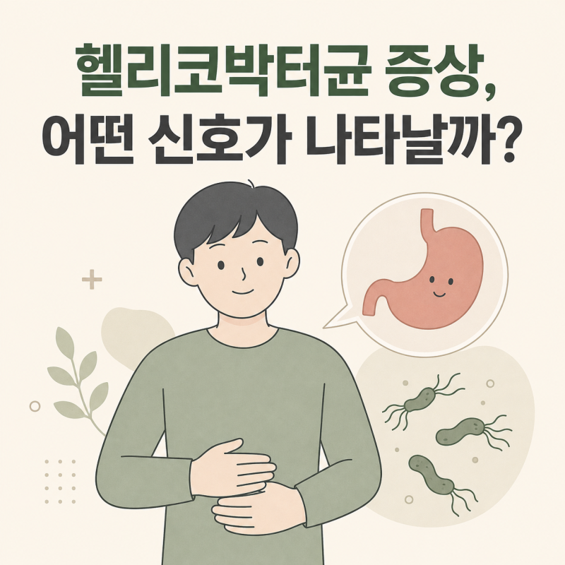 헬리코박터균 증상, 속쓰림·더부룩함이 있다면? 감염 신호와 검사법 정리