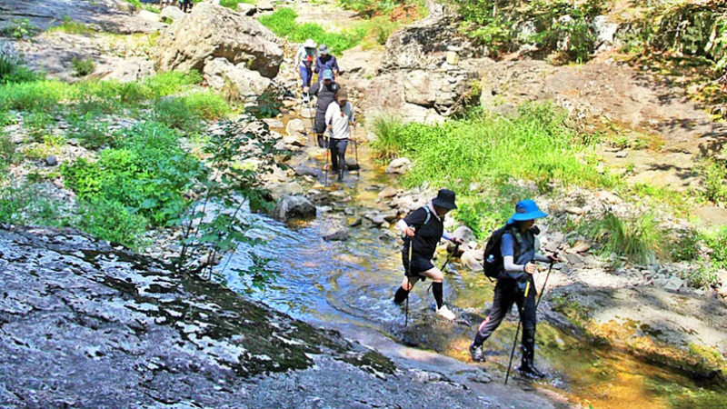 9월 13일까지 딱 한시 운영! 왕복 4km 물길 걷는 '주왕산 청송 절골계곡', 예약 방법부터 준비물....
