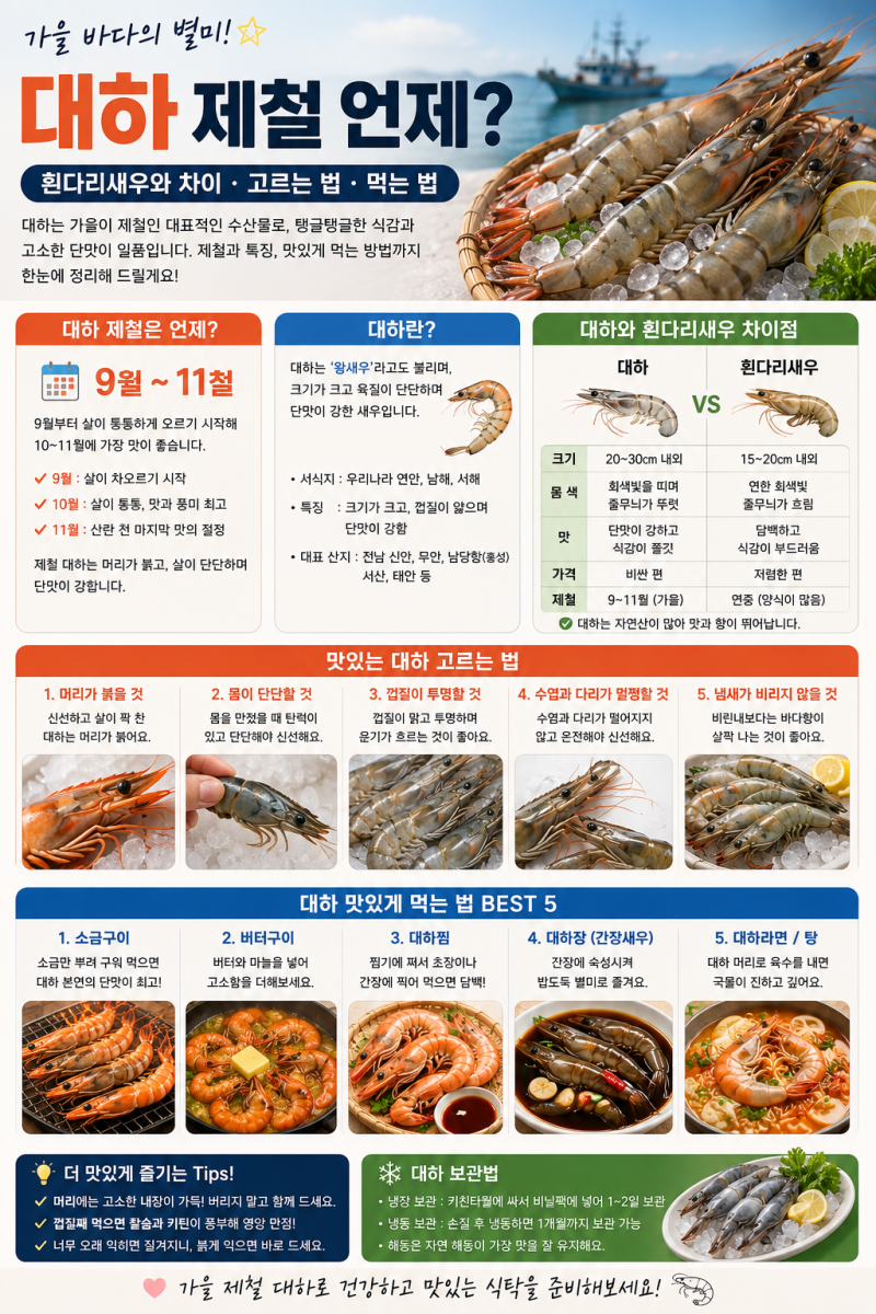 대하 제철 언제?｜흰다리새우와 차이·고르는 법·먹는 법