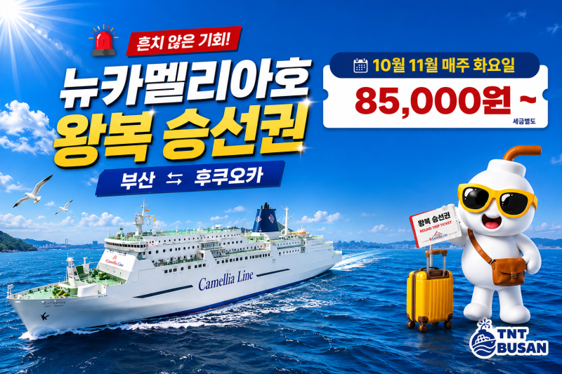 부산 후쿠오카 배편 가격 얼마? 뉴카멜리아호 편도 왕복 직접 비교