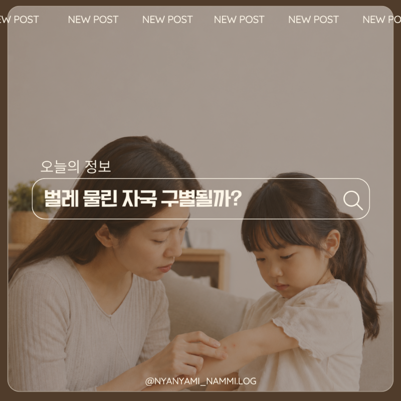 벌레 물린 자국 종류 모기 빈대 벼룩 진드기 차이와 대처법