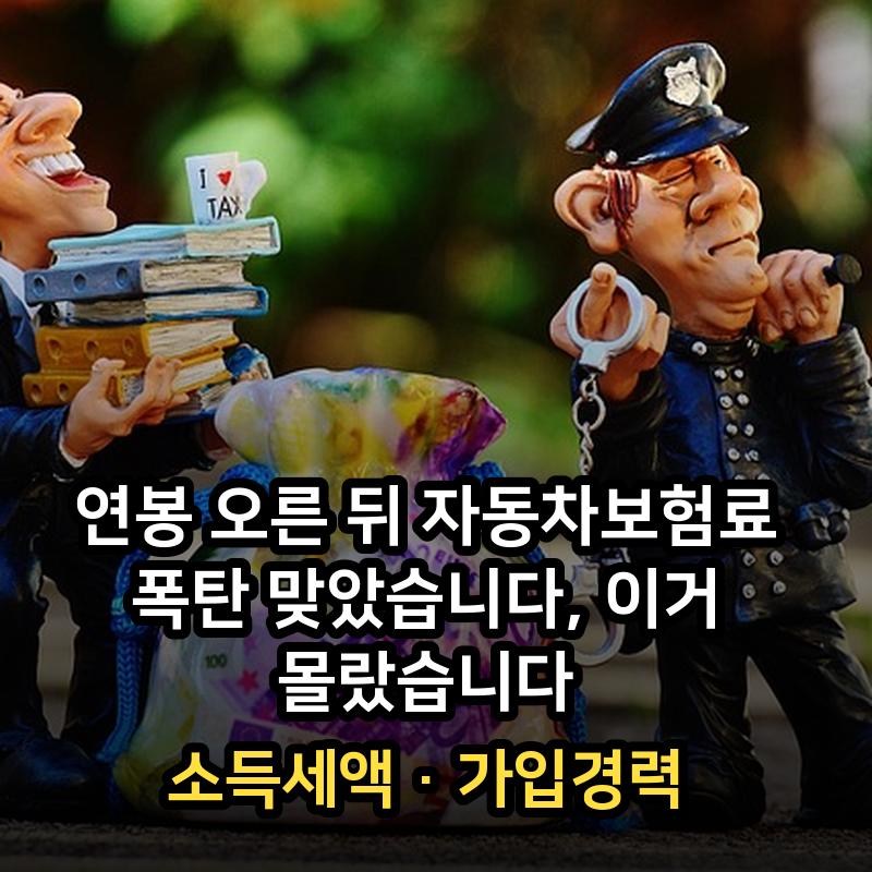 연봉 오른 뒤 자동차보험료 폭탄 맞았습니다, 이거 몰랐습니다·소득세액·가입경력