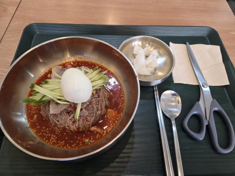 [하남 미사역 맛집] 여름날 자가제면으로 시원한 냉면 한그릇 '오장동 신창면옥'