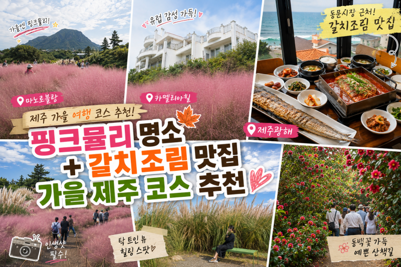 濟州粉黛亂子草名所 Manor Blanc & 山茶花之丘 & 濟州光海帶魚料理餐廳 秋季行程推薦