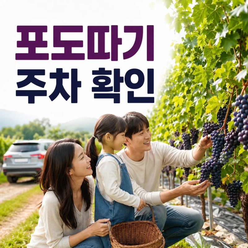 화성 송산포도축제 아이와 간다면, 포도 따기 예약부터 확인하세요