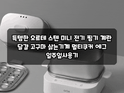 득템한 오르테 스텐 미니 전기 찜기 계란 달걀 고구마 삶는기계 멀티쿠커 에그 일주일사용기