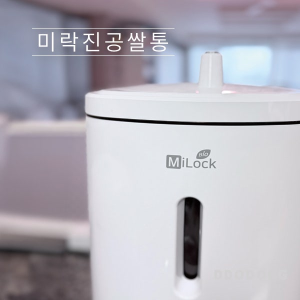 [리뷰] 미락진공쌀통 3개월 실사용후기(곰팡이쌀 구분 및 관리법)