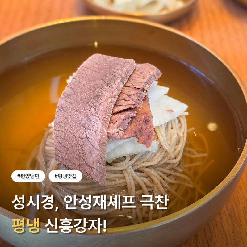 서울 평양냉면 맛집 학동역 향동가, 성시경 먹을텐데 강남 냉면 추천!