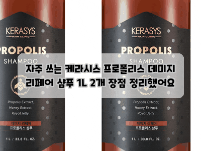 자주 쓰는 케라시스 프로폴리스 데미지 리페어 샴푸 1L 2개 장점 정리했어요