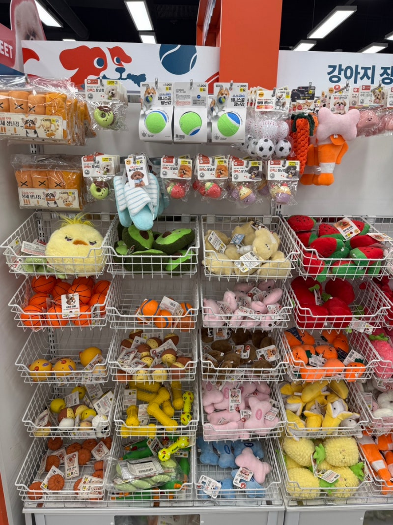 다이소 반려동물용품 애견용품 총정리 강아지 장난감 간식까지