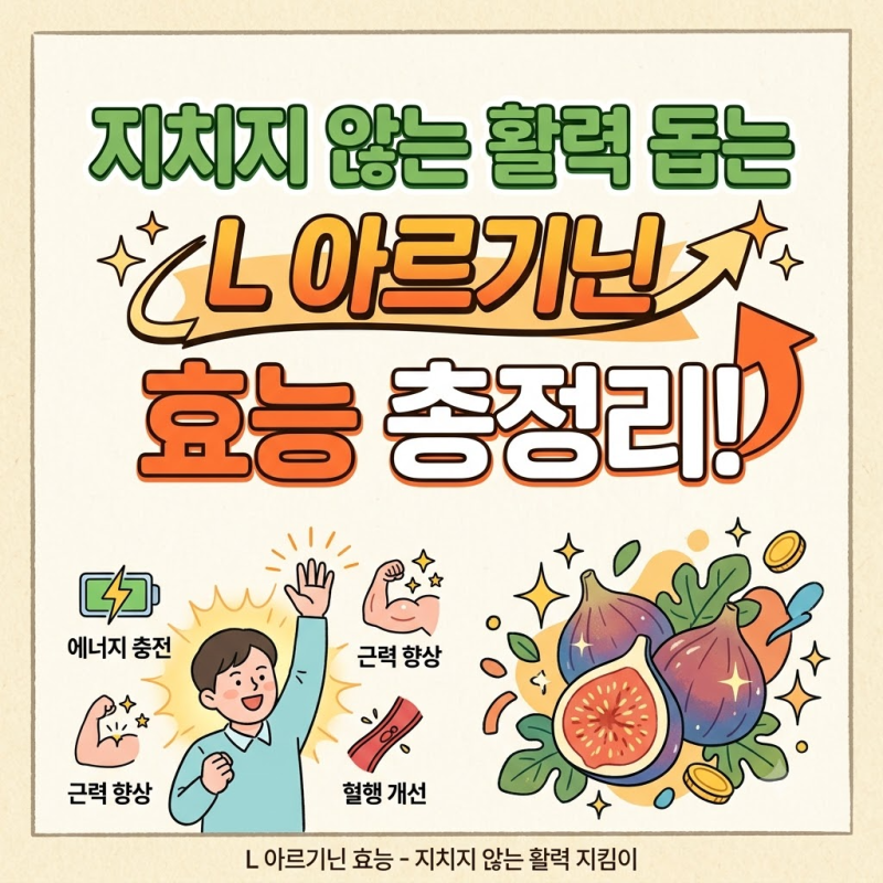 L 아르기닌 효능 부작용 및 혈류 개선을 돕는 일일섭취량