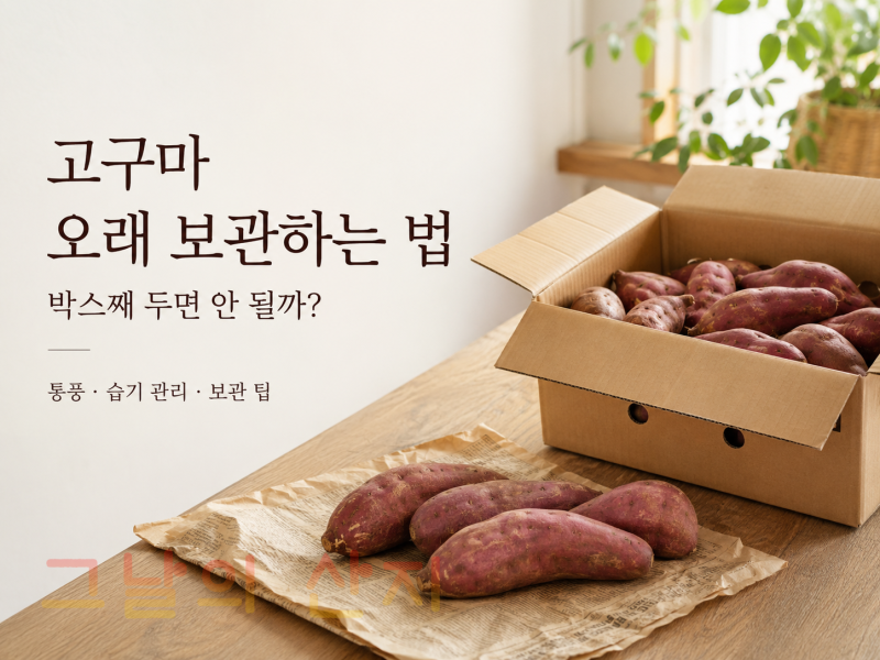 고구마 오래 보관하는 법｜박스째 두면 안 될까?