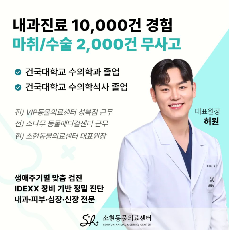 야당역/야당동동물병원 선택 시 4가지 주의사항 (2000건 수술/마취 수의사 조언)