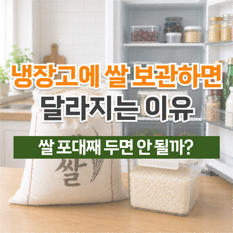 쌀 포대째 두면 안 될까? 냉장고에 쌀 보관하면 달라지는 이유