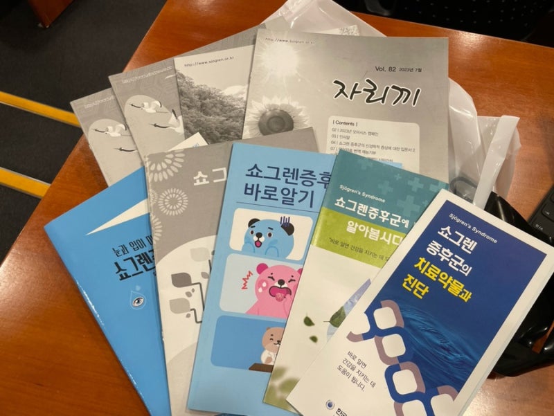 [쇼그렌병] 몸도 마음도 멍투성이. 쇼그렌 환우 모임 참석으로 위로받기. (19)