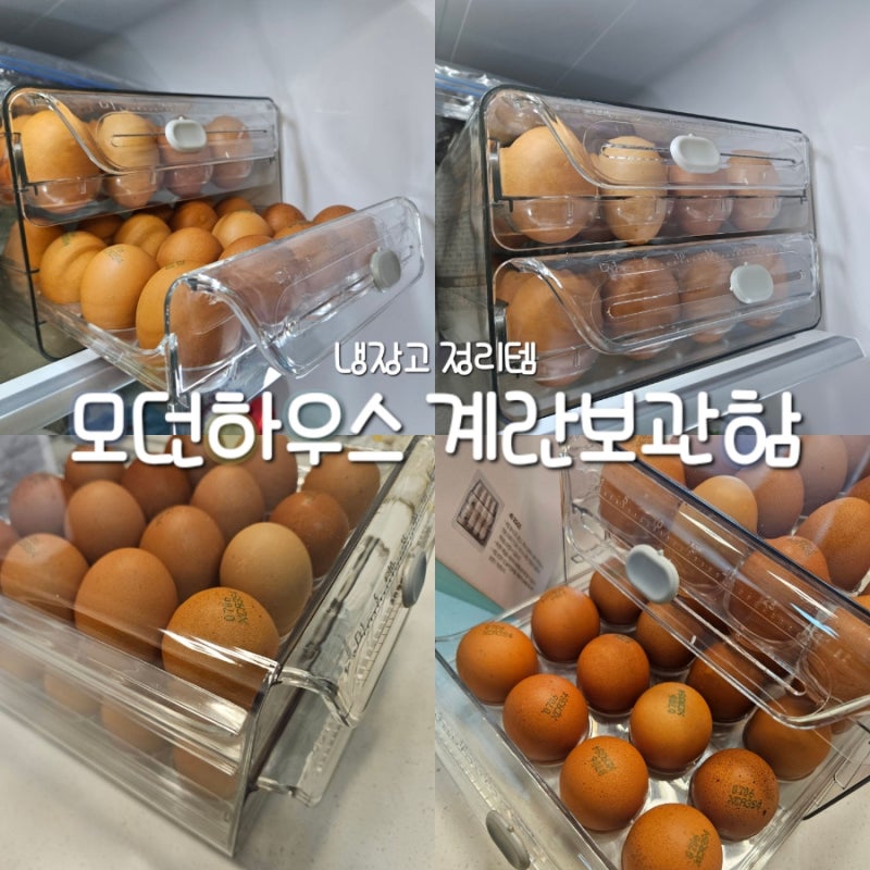 모던하우스 40구 계란 보관함 ㅣ 냉장고를 조금 더 깔끔하게 만들어주는 계란 보관함 (내돈내....