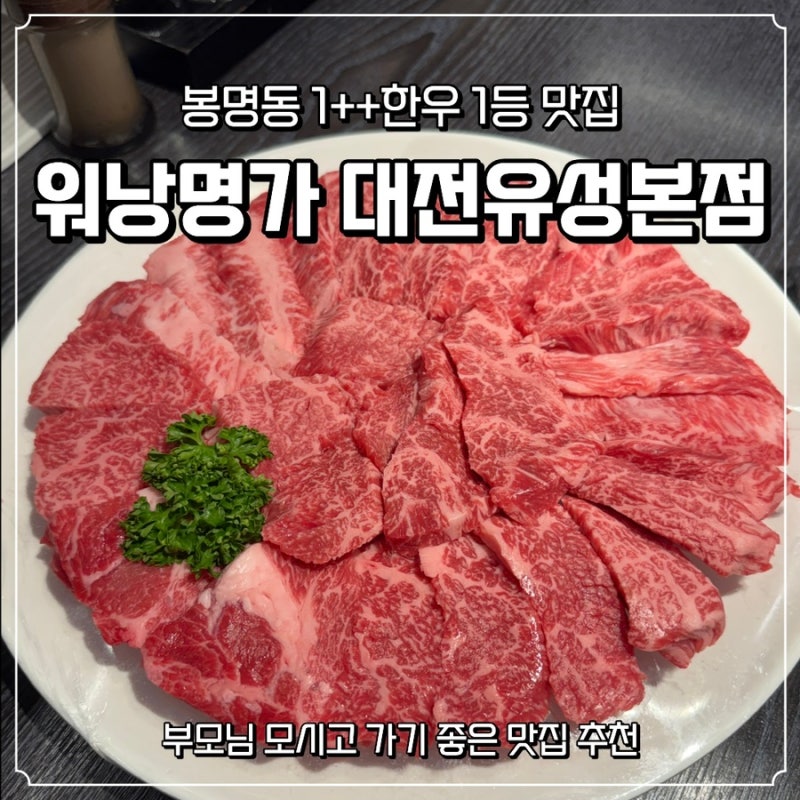 [대전/유성] 봉명동 유성온천역 부모님 모시고 가기 좋은 1++ 한우맛집 추천: 워낭명가 대전유....