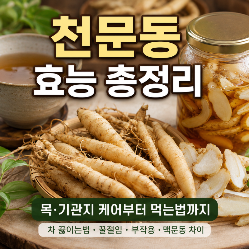 천문동 효능·부작용·먹는법 총정리! 차 끓이는법부터 꿀절임, 맥문동과 차이점까지