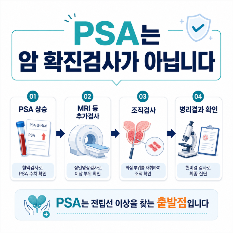 PSA 수치는 높은데 조직검사에서는 암이 아니다?｜전립선암 진단과 암진단비는 언제 결정될....