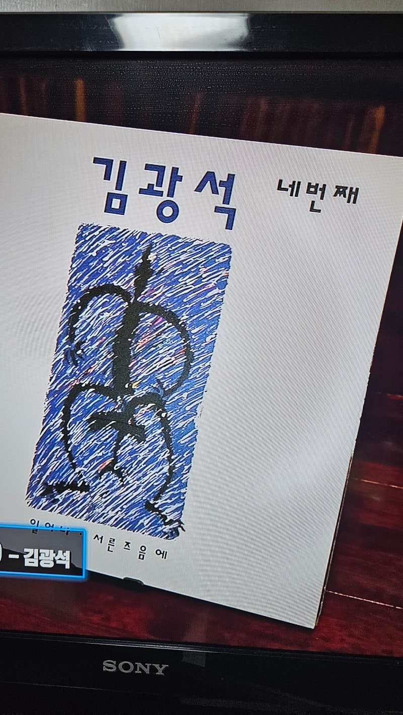 서른 즈음에 - 김광석 JK 김동욱