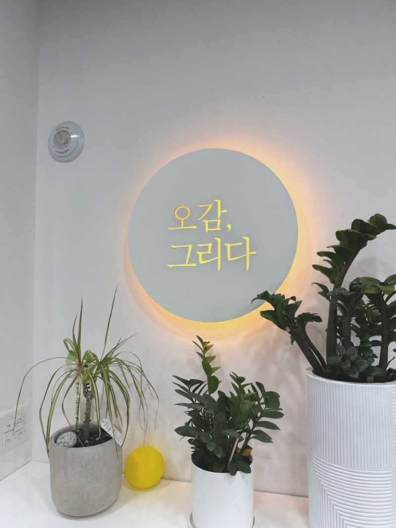 동탄 오감그리다 후기｜5세 아이와 다녀온 오감체험, 버블부터 물놀이까지 | 동탄 아이랑 갈....