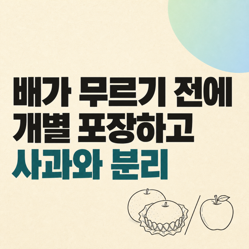 배는 왜 하나씩 싸고 사과와 따로 둬야 할까, 오래 가는 보관법
