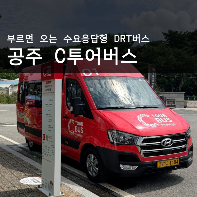 Must-Have for Gongju & Buyeo Trips: C-Tour Bus Demand Responsive Transit (DRT) Review