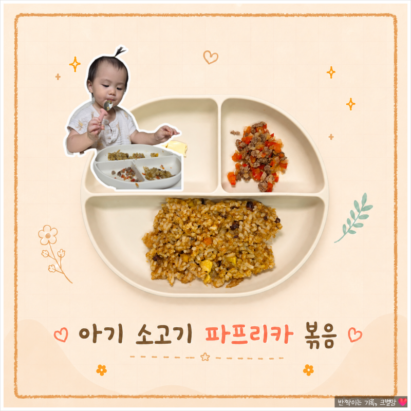아기 파프리카 요리 만드는법 유아식 소고기 다짐육 볶음 초간단 레시피