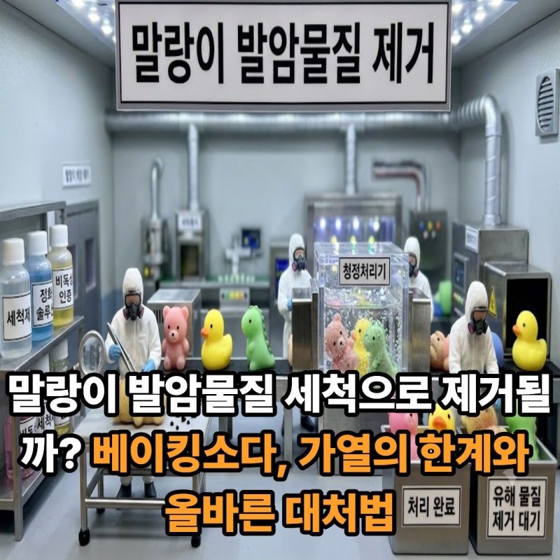 말랑이 발암물질 세척으로 제거될까? 베이킹소다, 가열의 한계와 올바른 대처법