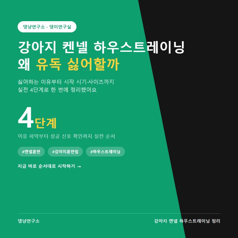 강아지 켄넬 하우스트레이닝, 싫어하는 이유부터 4단계까지