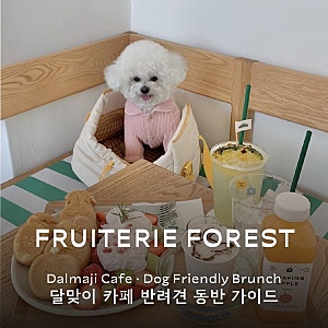 달맞이 카페 반려견 동반 가이드-해운대 숲속에서 강아지와 브런치