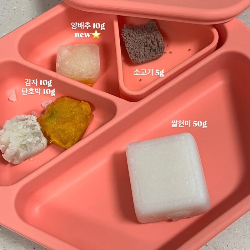 초기 토핑 큐브 이유식 : 양배추 효능, 세척, 조리법, 입자감, 양, 보관