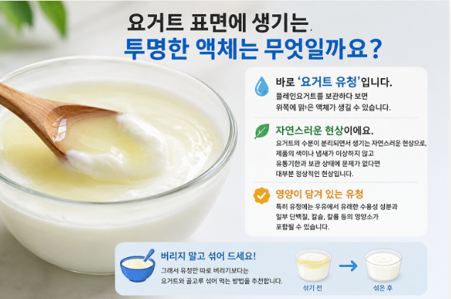 요거트 유청 영양소 버리지 마세요 플레인요거트 유청 활용법과 간단한 모닝 요거트 레시피